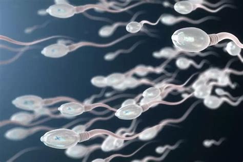 Bir sperm kaç gün yaşar